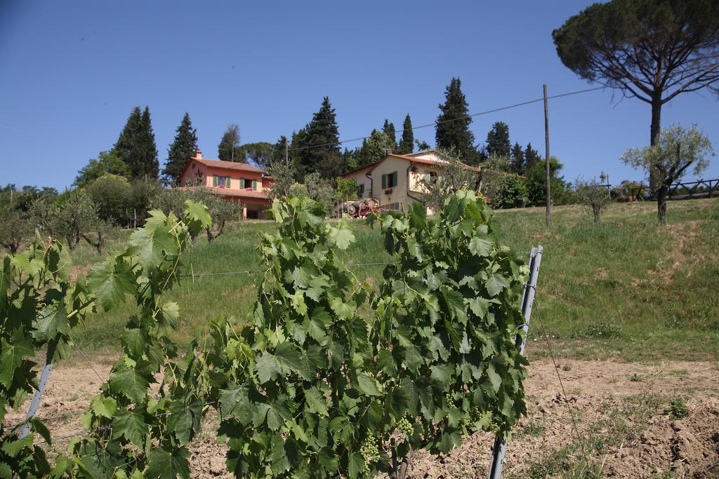 Agriturismo Podere Poggio Ai Cieli San Gimignano Buitenkant foto